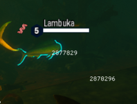unknown.png