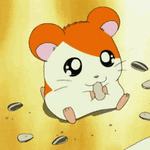 113723.gif