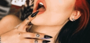 banner pp 2.gif