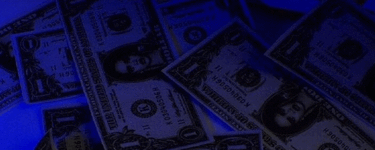banner pp 3.gif
