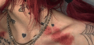 banner pp 12.gif