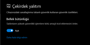 resim_2025-03-25_200531932.png