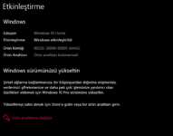 1610958167315.png