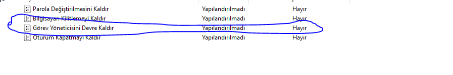 1618569859335.png