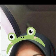 aldy24