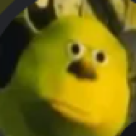31DRK31