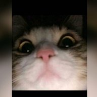 ST_