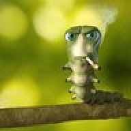 yigido254159